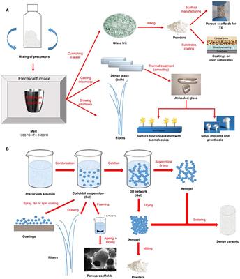 Multiple and Promising Applications of Strontium (Sr)-Containing Bioactive Glasses in Bone Tissue Engineering